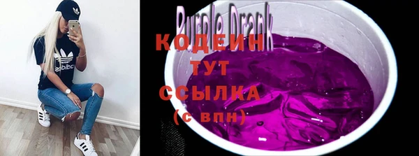 гидра Няндома