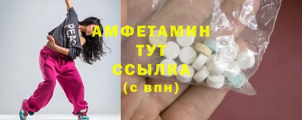 гидра Няндома