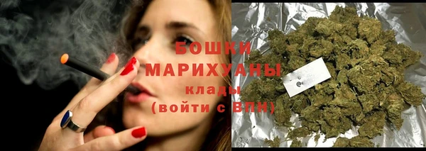гидра Няндома